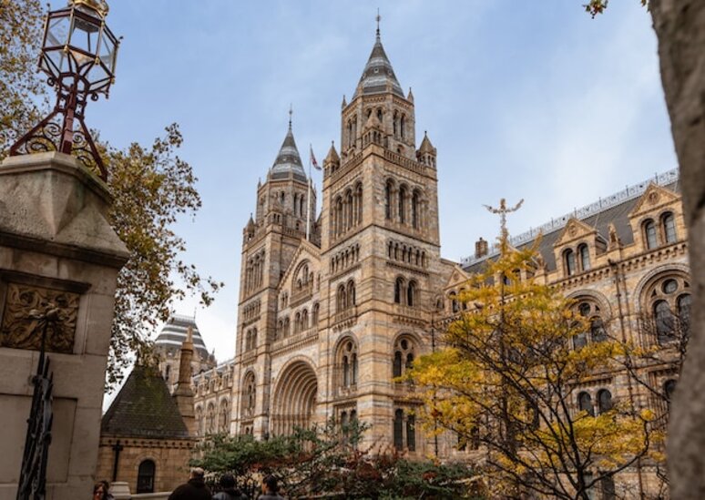 The Natural History Museum in London: A grand building housing a vast collection of natural wonders and scientific exhibits.