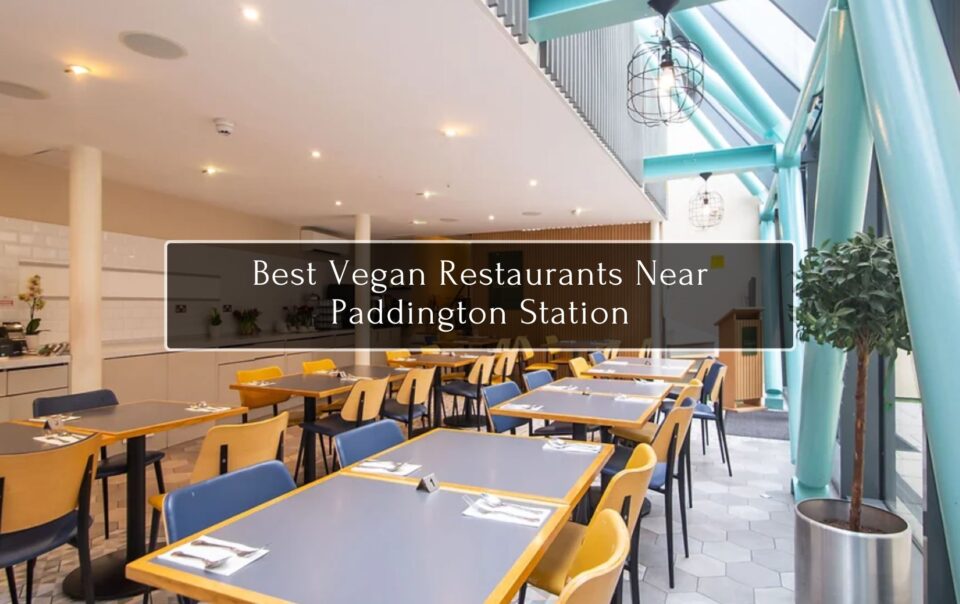 Best Vegan Restaurants Near Paddington Station